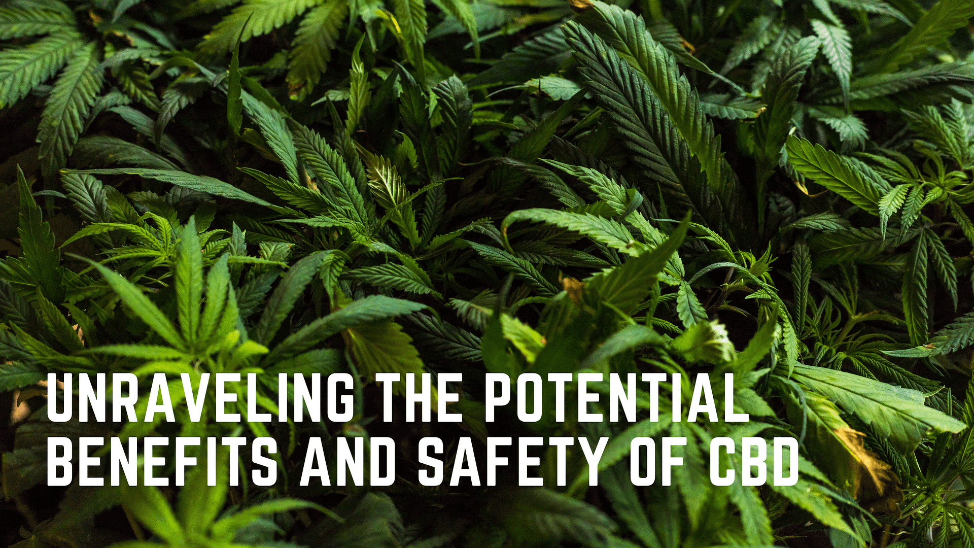 Benefits and Safety of CBD