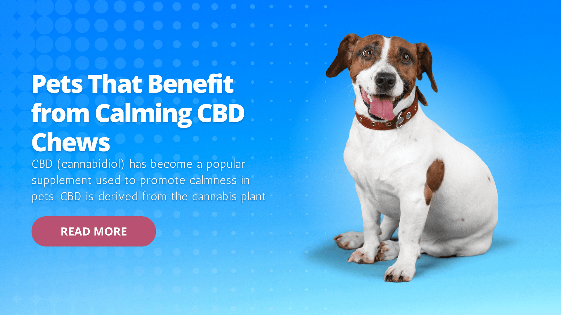 Benefit from Calming CBD Chews