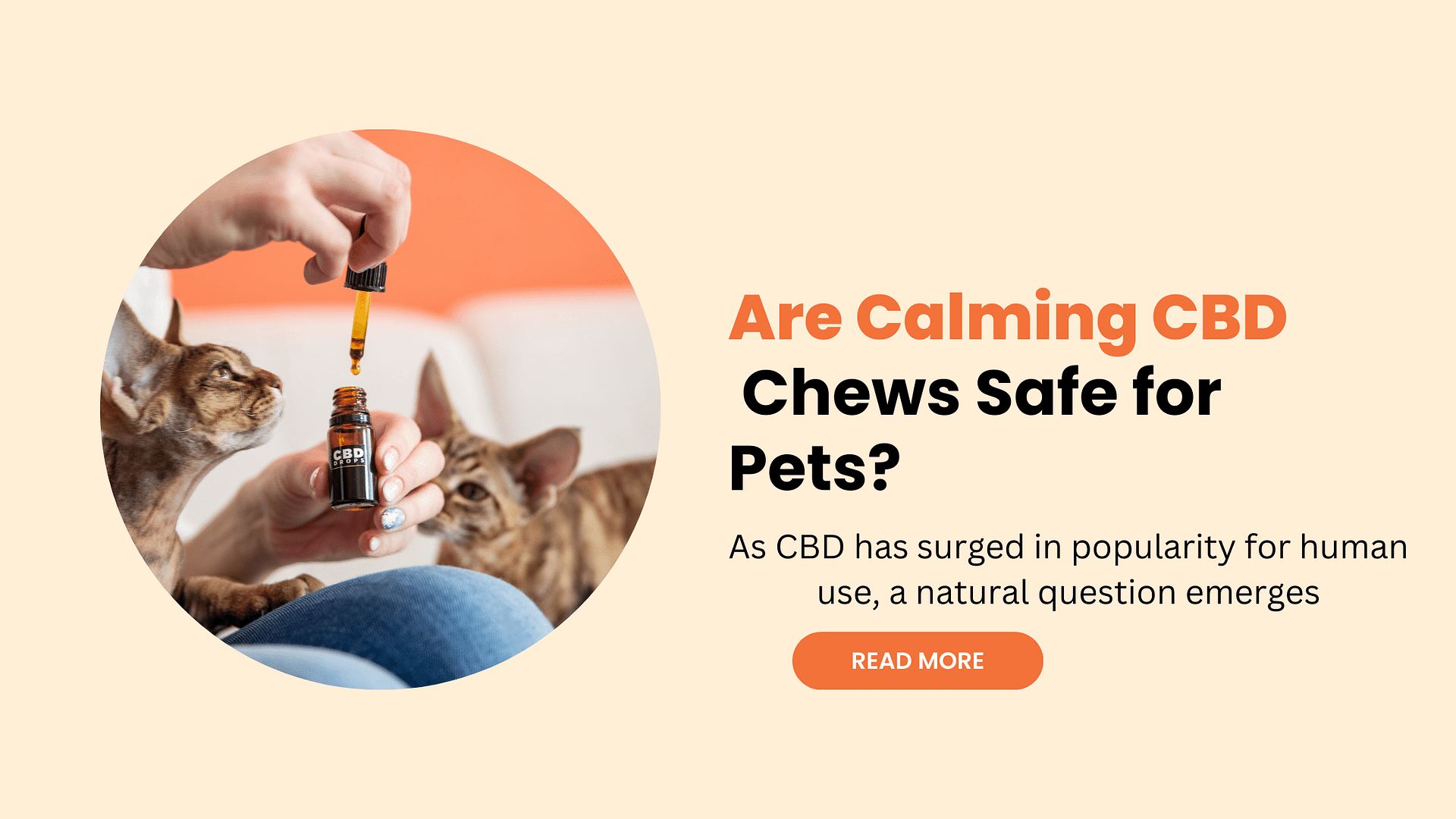 Calming CBD Chews Safe for Pets