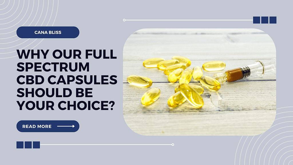Why Our Full Spectrum CBD Capsules Should Be Your Choice?