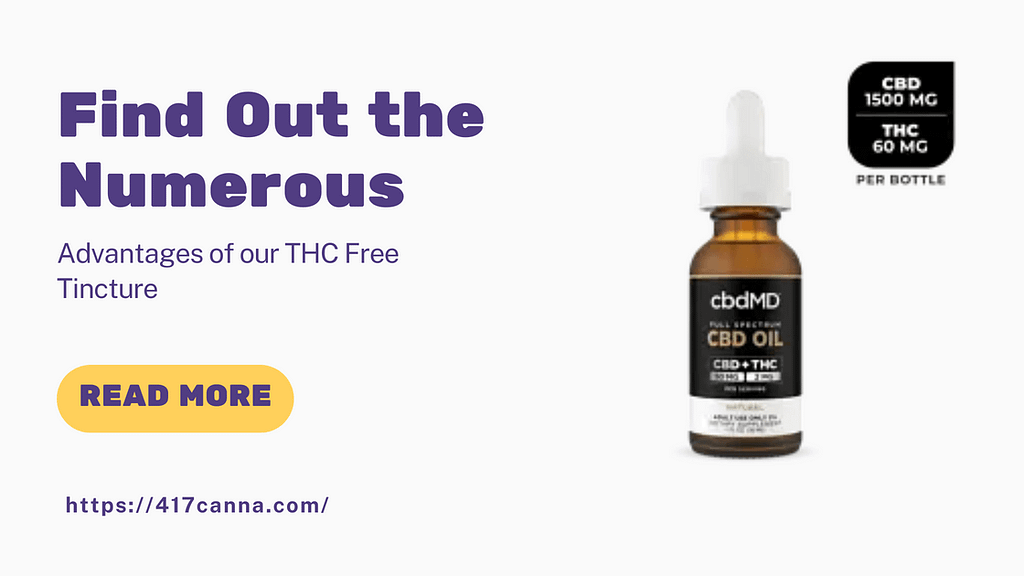 Find Out the Numerous Advantages of our THC Free Tincture