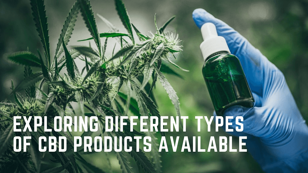 Exploring Different Types of CBD Products Available