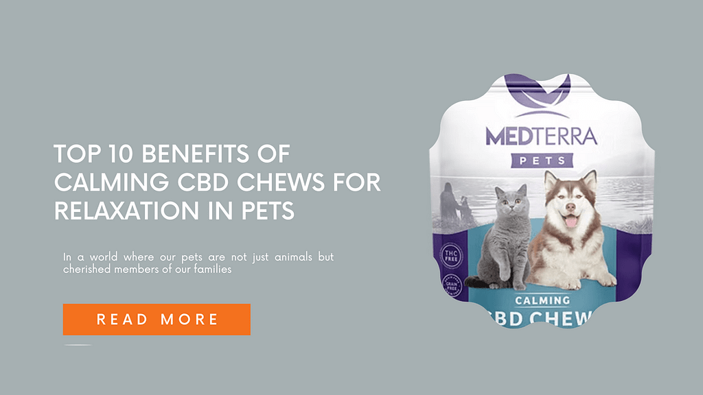 Top 10 Benefits of Calming CBD Chews for Relaxation in Pets