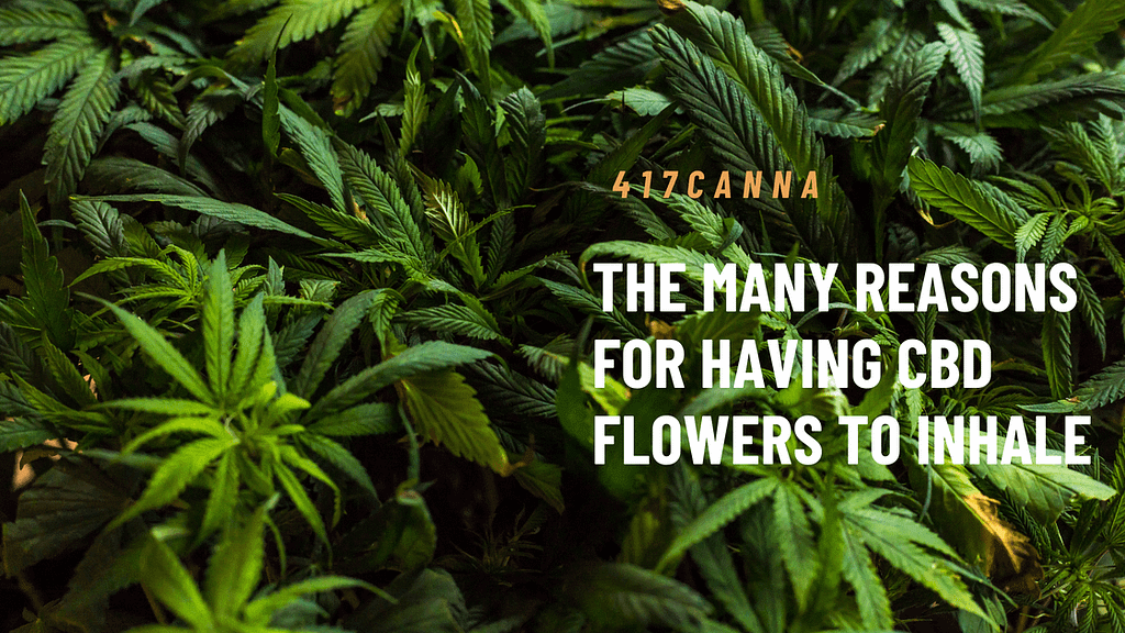 The Many Reasons For Having CBD Flowers To Inhale