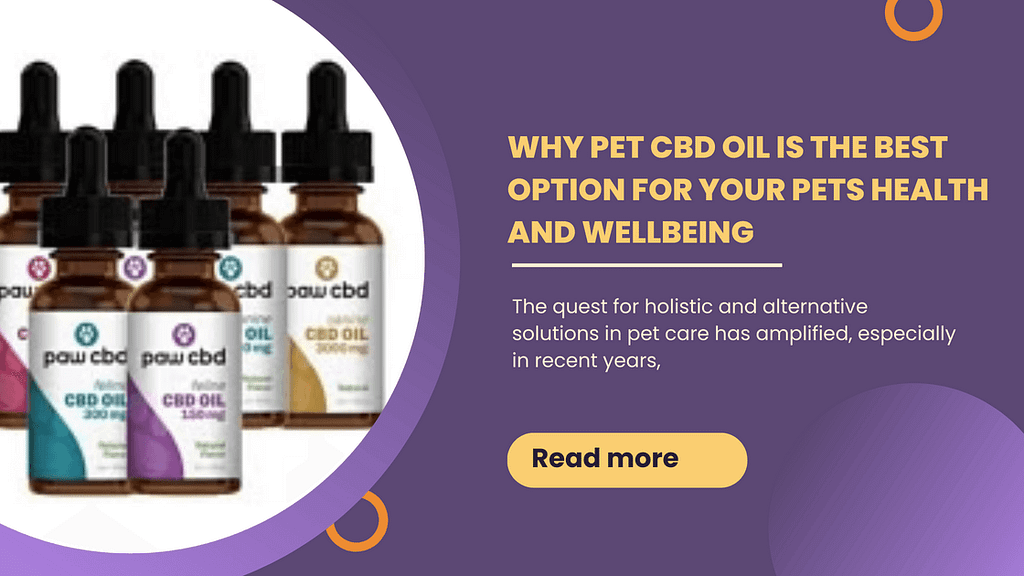 Why Pet CBD Oil Is the Best Option for Your Pets Health and Wellbeing