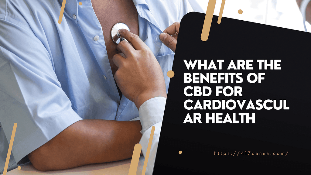 What Are the Benefits of CBD for Cardiovascular Health